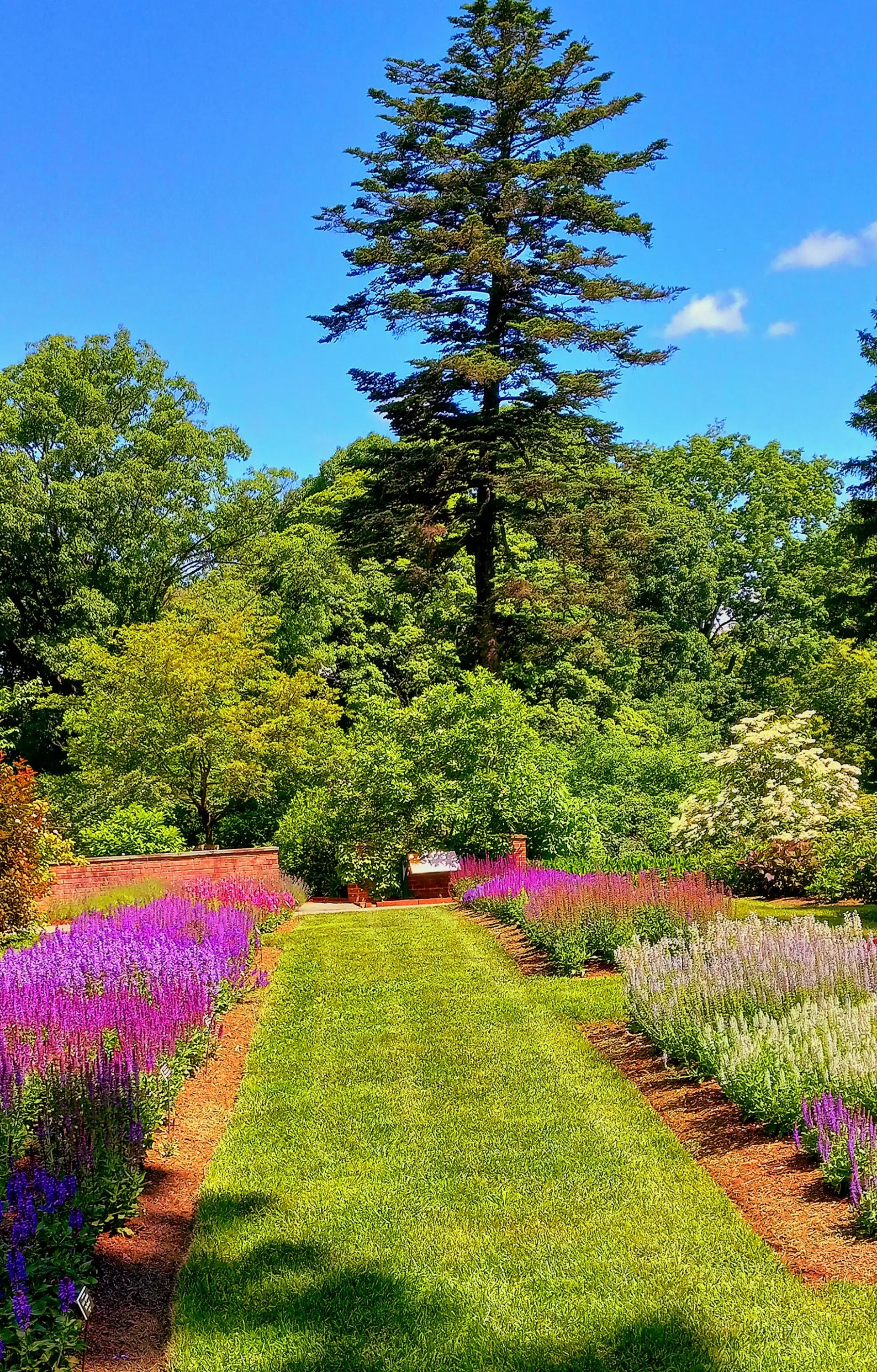 radio city music hall - 35