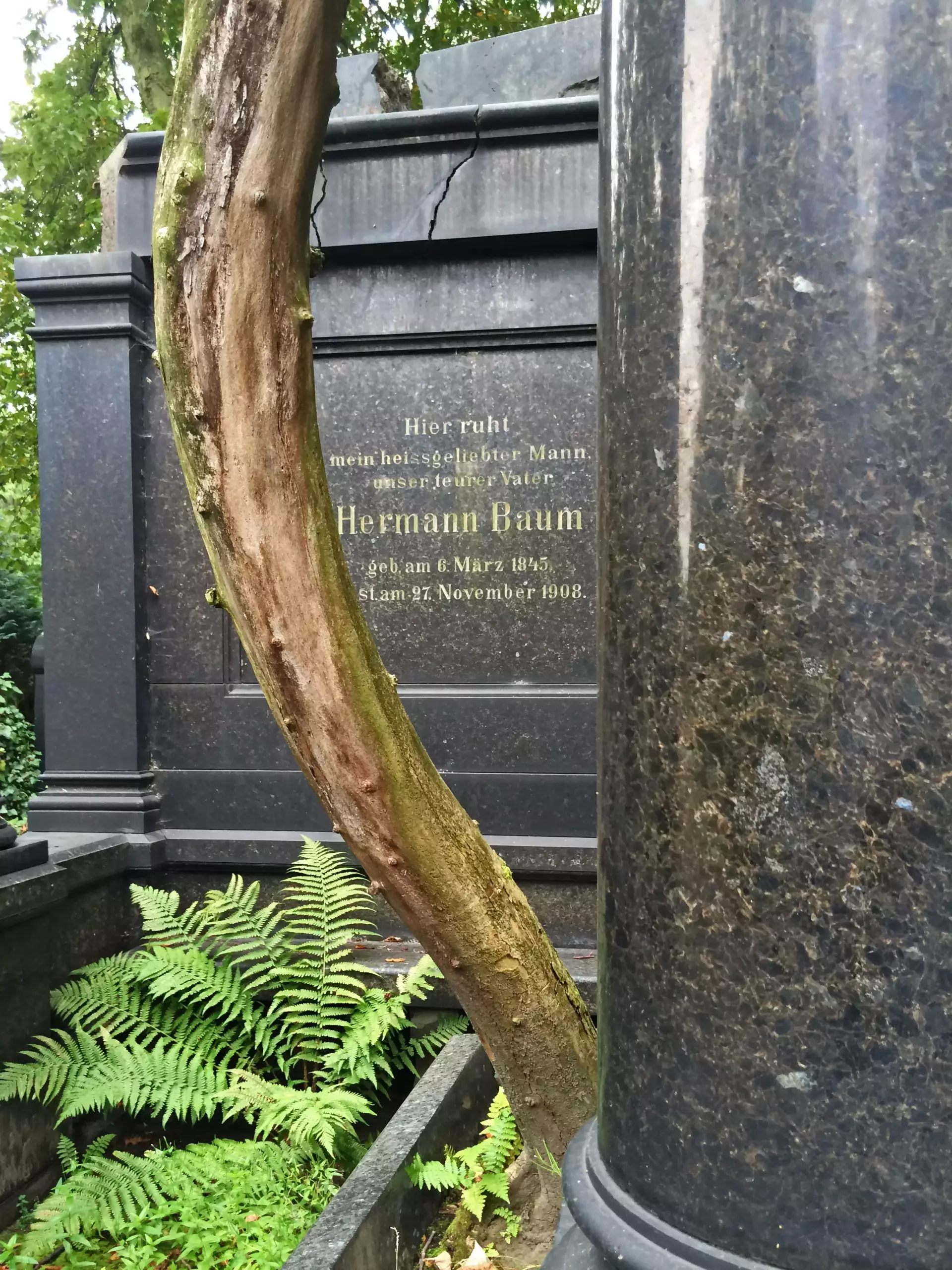 unité d'habitation - 16